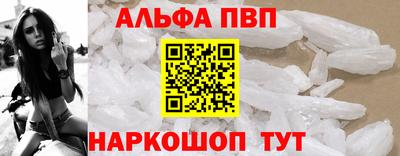 СК Вышний Волочёк