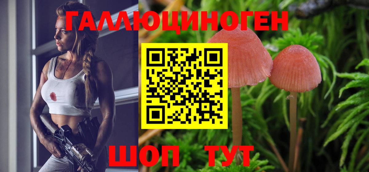 Псилоцибиновые грибы GOLDEN TEACHER Наро-Фоминск